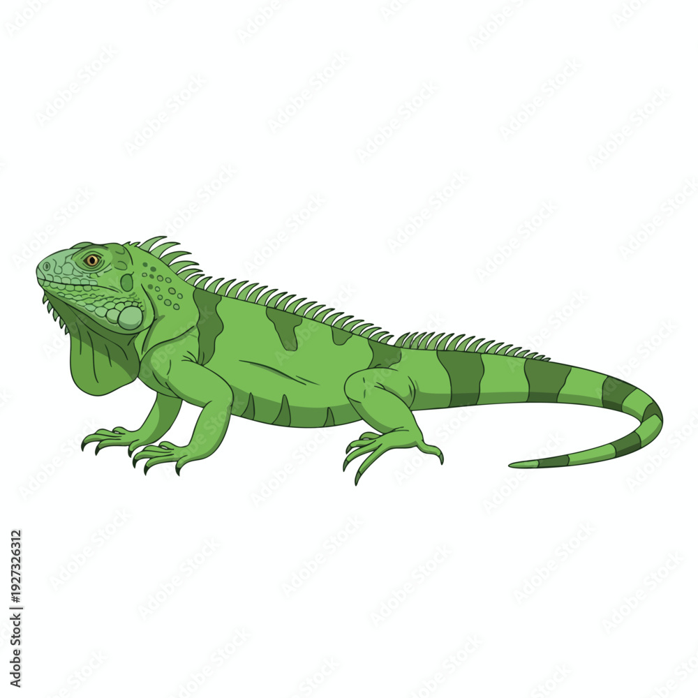 Obraz premium Colorful Green Iguana Relaxing on Branch in Natural Habitat