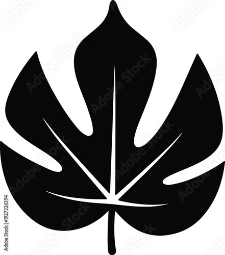 silhouette single tropical fig leaf botanical icon isolated on white vector design