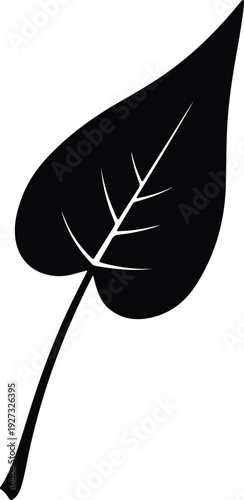 silhouette single leaf of a plant with stem and veins vector design