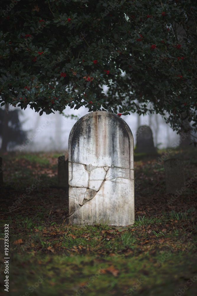 Fototapeta premium A headstone with no words sits among a cemetery in gloomy green plants and trees, with red berries in the plant above. The setting is somber and gloomy, with foggy forest nature in the background.