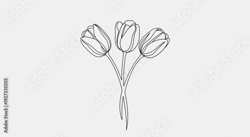Mother's day tulip flower bouquet, celebrate with love and beauty Vector