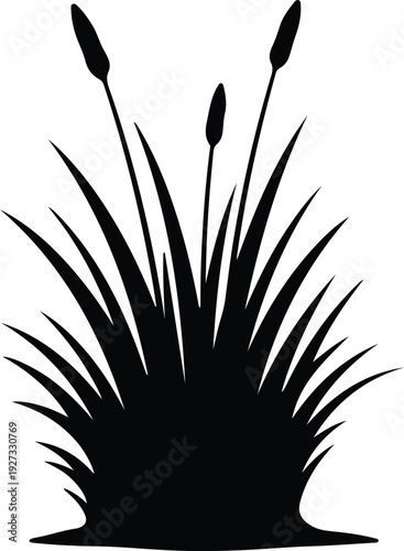 silhouette growing cattail reeds grass plants natural wetland swamp ecosystem vector design
