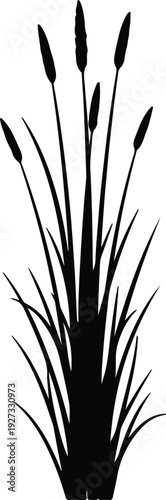 silhouette natural cattails and reeds marsh plant aquatic environment vector design