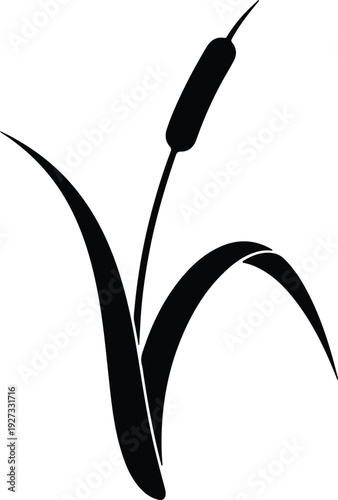 silhouette tall cattail marsh plant nature element minimalist graphic vector design