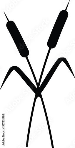 silhouette two elegant cattails with leaves isolated botanical element vector design