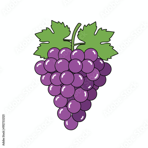 Fresh Purple Grapes with Green Leaves for Healthy Fruit and Food Lifestyle