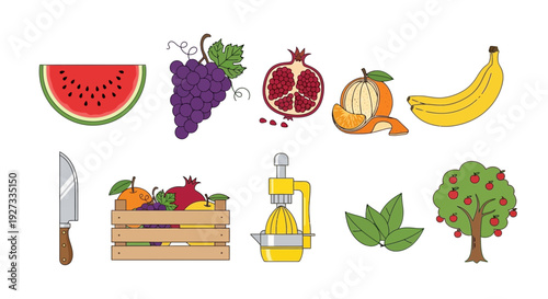 Collection of fruit illustrations watermelon grapes pomegranate orange bananas crate juicer leaves apple tree