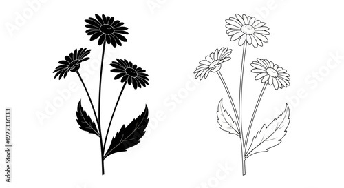 Mother's day floral illustration: elegant bouquet of daisies for celebration Vector
