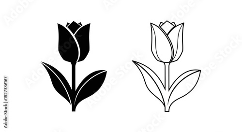 Mother's day tulip flowers, celebrate love and appreciation with elegant floral design Vector