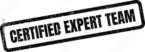 Certified expert team rectangular stamp with a distressed grunge texture, ideal for recognizing professional group achievements and collaborations