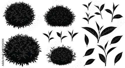 
A collection of black leaf silhouettes on a white background