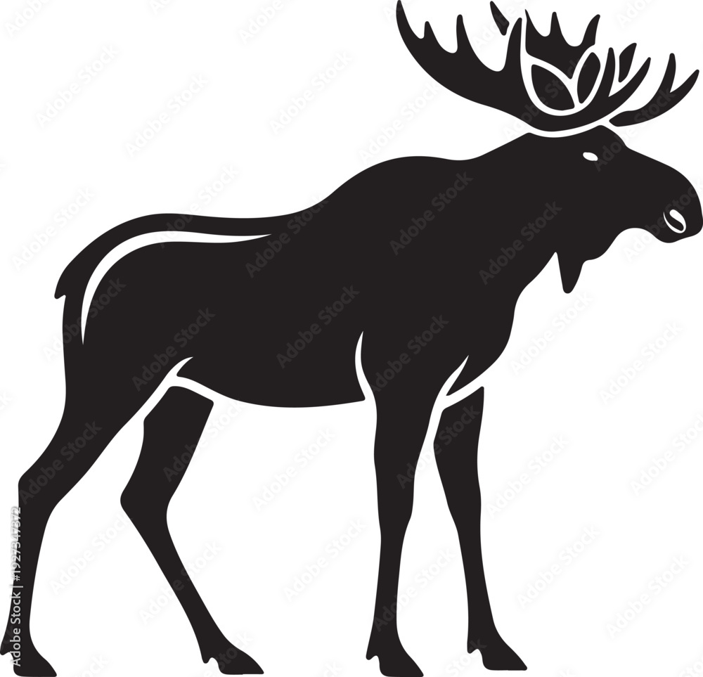 Fototapeta premium moose silhouette
