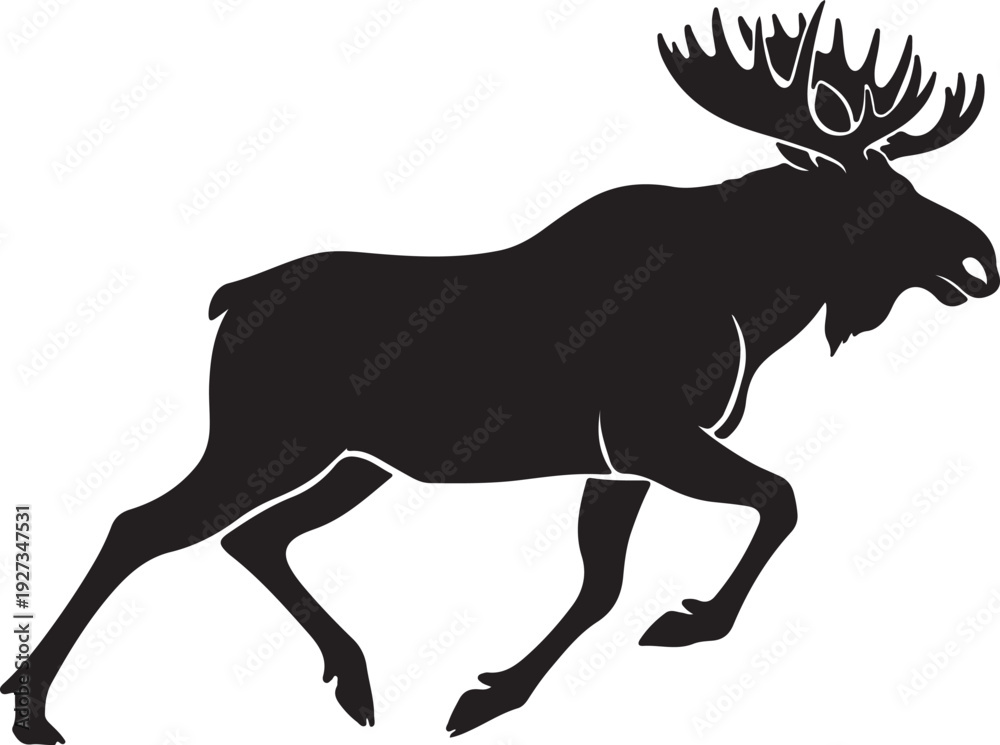 Obraz premium moose silhouette