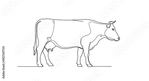 Simple Line Drawing of a Cow in Profile on White Background