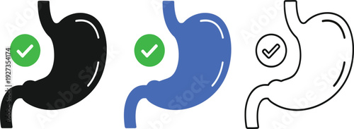 A set of stomach icons in different colors and line styles for medical or health related designs and illustrations