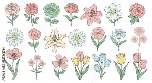 Hand-Drawn Floral Collection: Assorted Flowers in Pastel Colors, Botanical Illustration