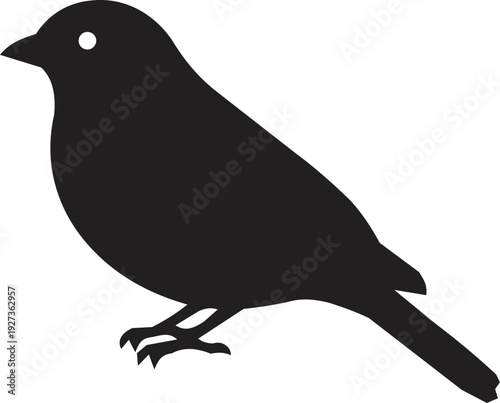 Black silhouette of a small bird with upturned tail on white background
