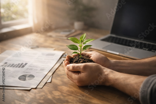 Wallpaper Mural Hands Holding Small Green Plant Over Office Desk – Sustainability Concept Torontodigital.ca
