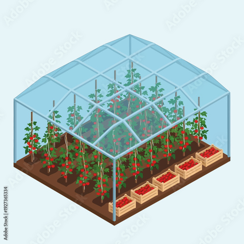 Isometric Greenhouse with Tomato Plants and Irrigation System.