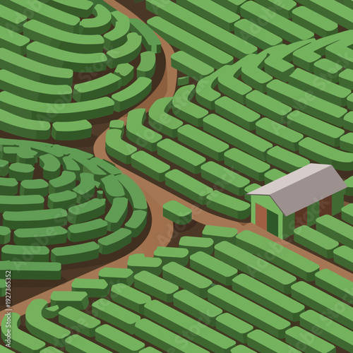 Aerial view of a large green hedge maze with a small house.