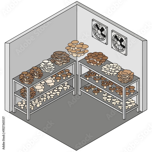 Mushroom cultivation room with shelving and ventilation system.