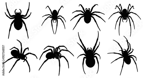 Set of Black Spider Silhouettes on White Background, Halloween and Horror Theme