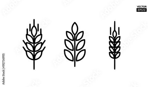 SEO Title:
Wheat Plant Crop Pictogram Icon Set Healthy Cereal Grain Symbols Isolated on White Background Vector EPS10