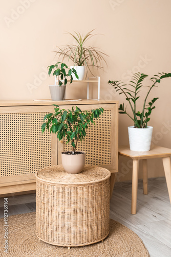 Stylish wooden cabinet with...