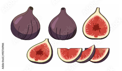 Fig Fruit Whole and Cut Flat Vector Set