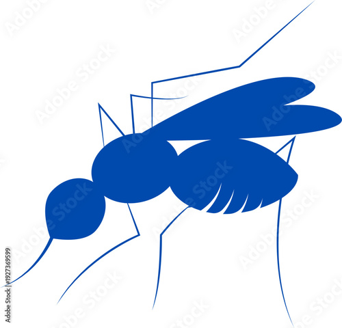 mosquito sucking blood on white background. Black silhouette of a mosquito insect. Close-up of a mosquito with detailed body parts and wings isolated on white background, Vector