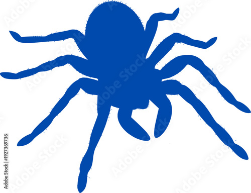 Silhouette of Spider on white background. Spider vector sketch hand drawn line art in nature, black spider engraving style illustration — stock vector