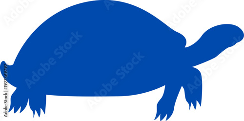 Silhouette Vector of Turtle on white background. Chinese pond turtle vector silhouette. Series of illustrated Sea Turtles. 