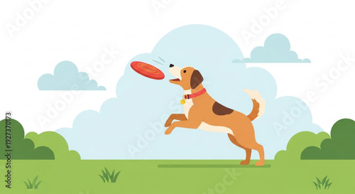 Happy dog jumping to catch a frisbee in a green field with blue sky and clouds