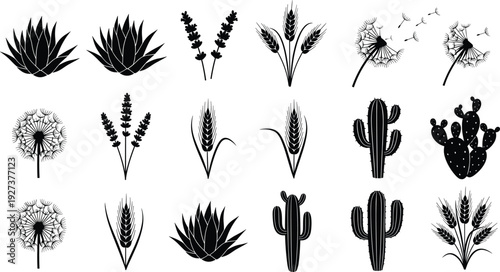 Black vector silhouette set of diverse desert plants including cacti succulent aloe vera wheat stalks and dandelion flowers for nature botanical and organic branding design