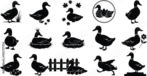 Black vector silhouette set of diverse ducks including mallards swimming nesting with eggs and wearing a crown for farm nature wildlife and poultry branding
