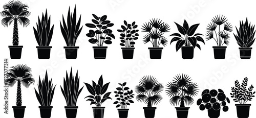 Black vector silhouette set of diverse indoor potted house plants including palms succulents and snake plants for home garden interior design and botanical branding