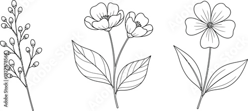 Black and white flowers with leaves illustration
