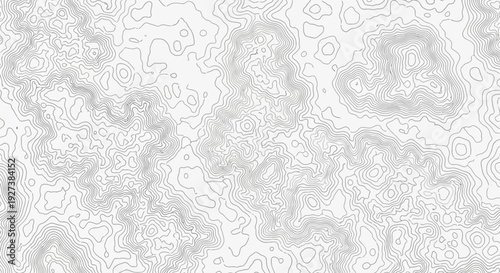 Topographic Map Contour Lines Abstract Background - Elevation Map Texture