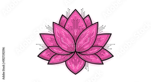 Pink Lotus Flower Hand Drawn Illustration.