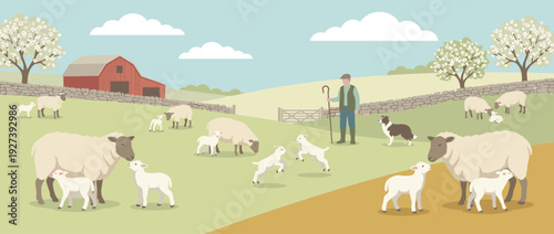 Flat vector illustration of a spring lambing season on a pastoral farm with sheep and newborn lambs grazing in green fields, a shepherd with his dog, a red barn, and blossoming fruit trees.