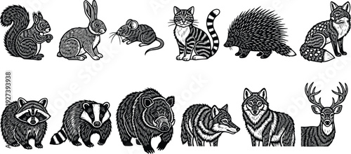 Detailed woodland animal illustration set featuring squirrel, rabbit, mouse, cat, porcupine, fox, raccoon, badger, bear, wolf, and deer in engraved line art style.