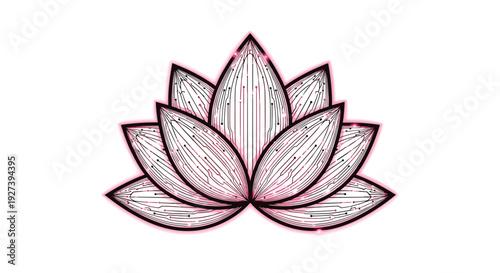 Hand Drawn Lotus Flower Illustration.