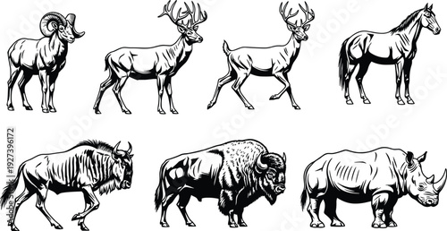 Detailed hoofed animal illustration set featuring bighorn sheep, deer, horse, wildebeest, bison, and rhinoceros in black and white line art style, perfect for wildlife artwork.