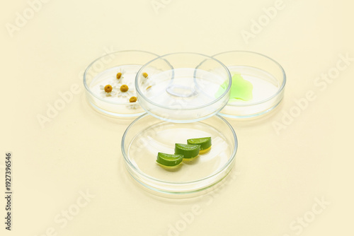 Petri dishes with samples a...