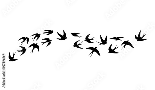 ✅ SEO Title
Minimal Flying Birds Silhouette Vector Pack Isolated Swallow Style Shapes for Logo and Tattoo
