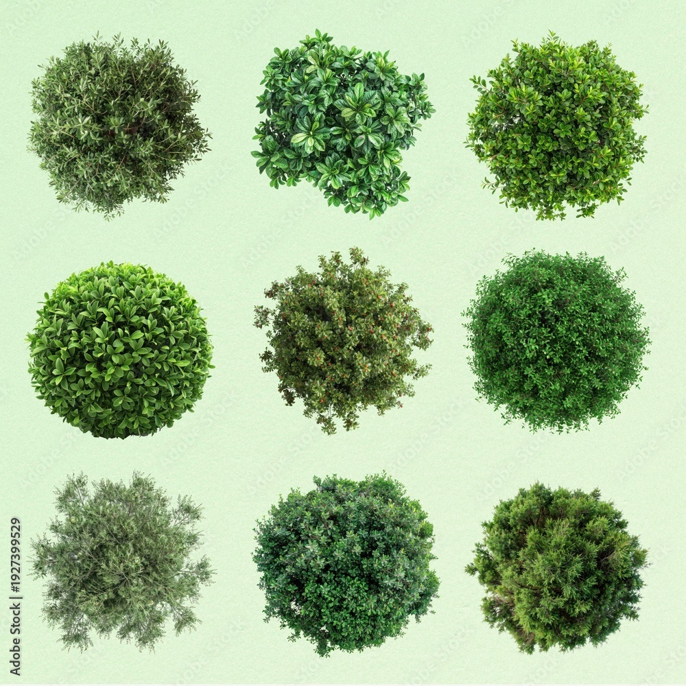 Obraz premium Green bushes design element set