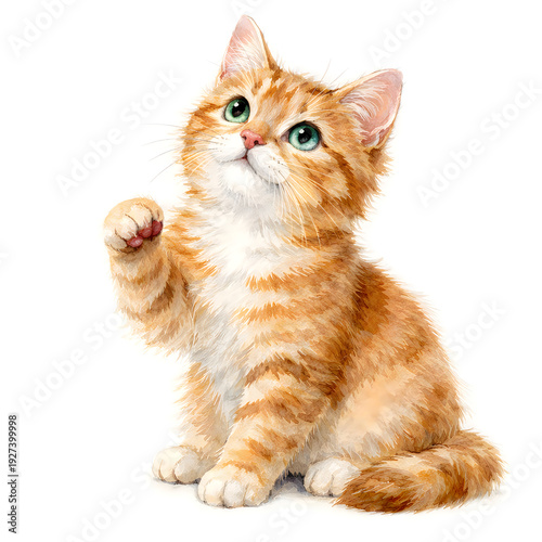 Cute Ginger Kitten Watercolor Illustration, Playful Orange Tabby Cat Looking Up with Raised Paw Isolated on White Background