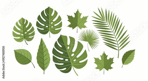 Collection of various green leaves and foliage arranged in a visually appealing composition
