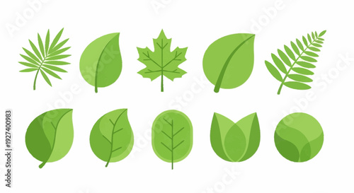 Collection of various green leaves and foliage displayed in a grid pattern on a clean white background from a straightforward viewpoint