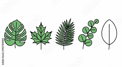 Illustration of various green leaves and foliage displayed in a row from different plant species in a simple line art style